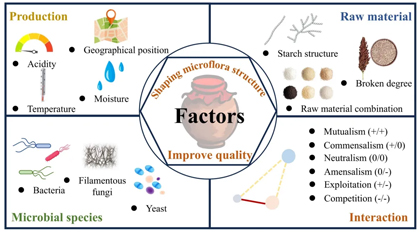 中国·5163银河手机版(股份)有限公司-官方网站