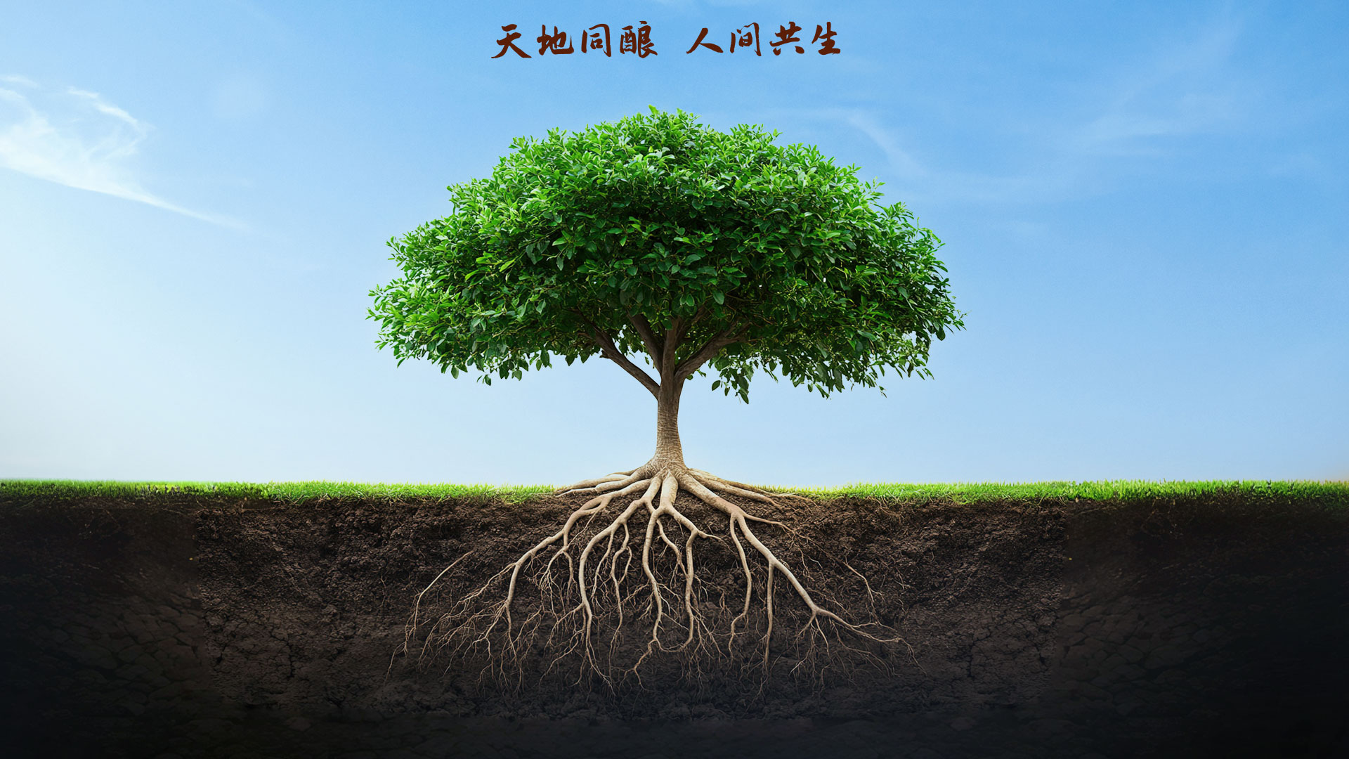 中国·5163银河手机版(股份)有限公司-官方网站